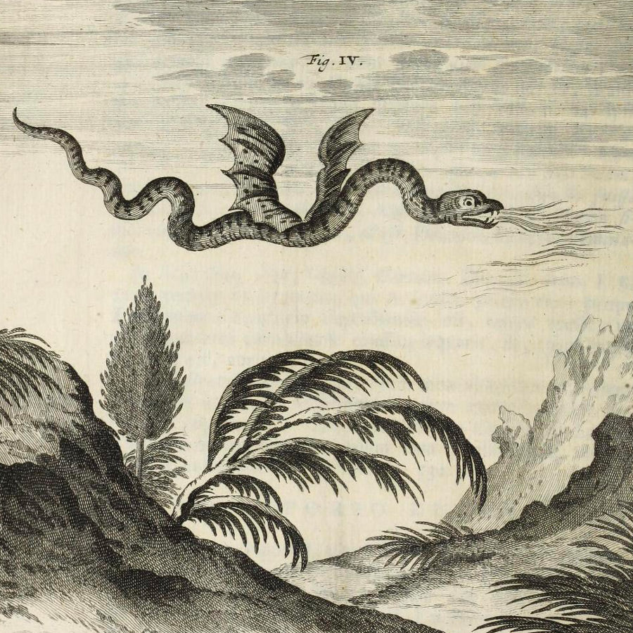 Une bouteille de Dragon des Alpes émerge de la neige, symbole de résilience au cœur du paysage alpin gelé.