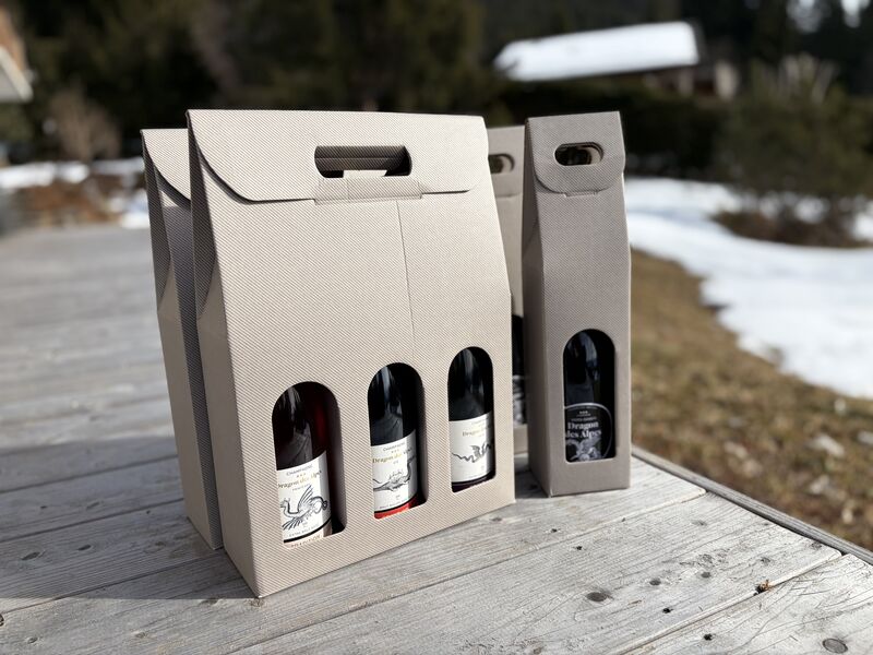 Partenaires du Ski Club de Villars