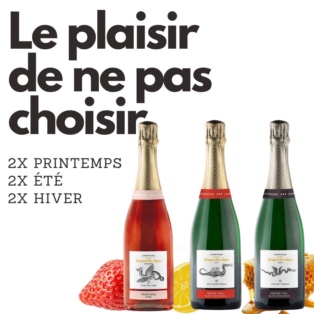 Caisse découverte 6 bouteilles