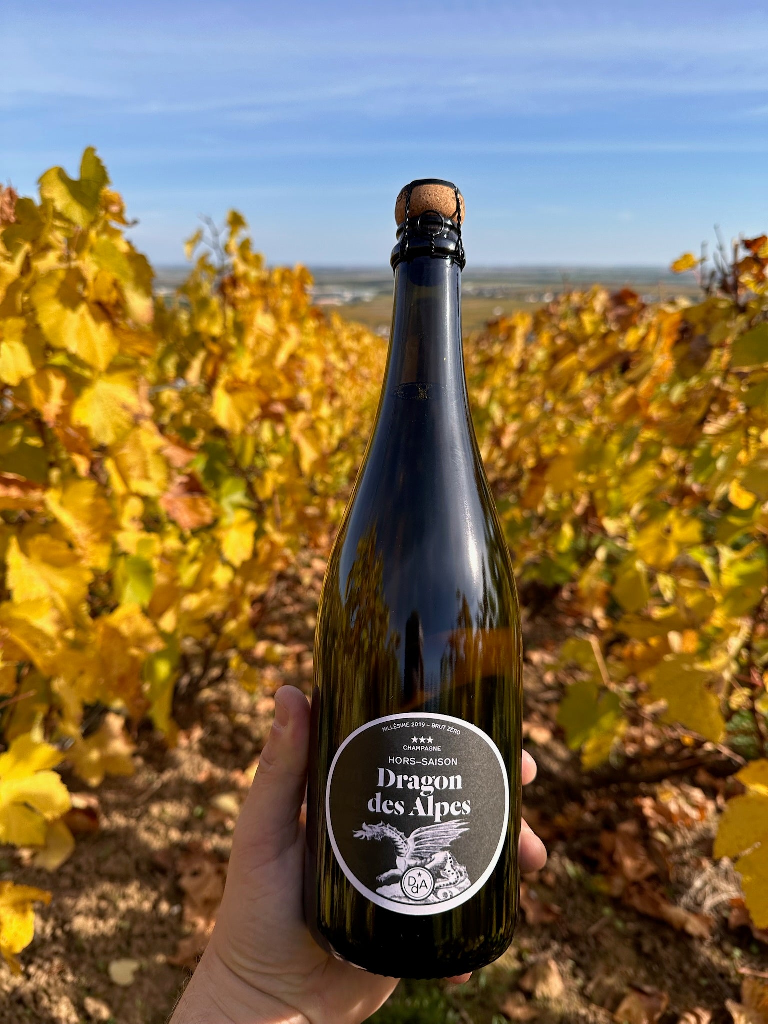 Millésime 2019 Brut Zéro