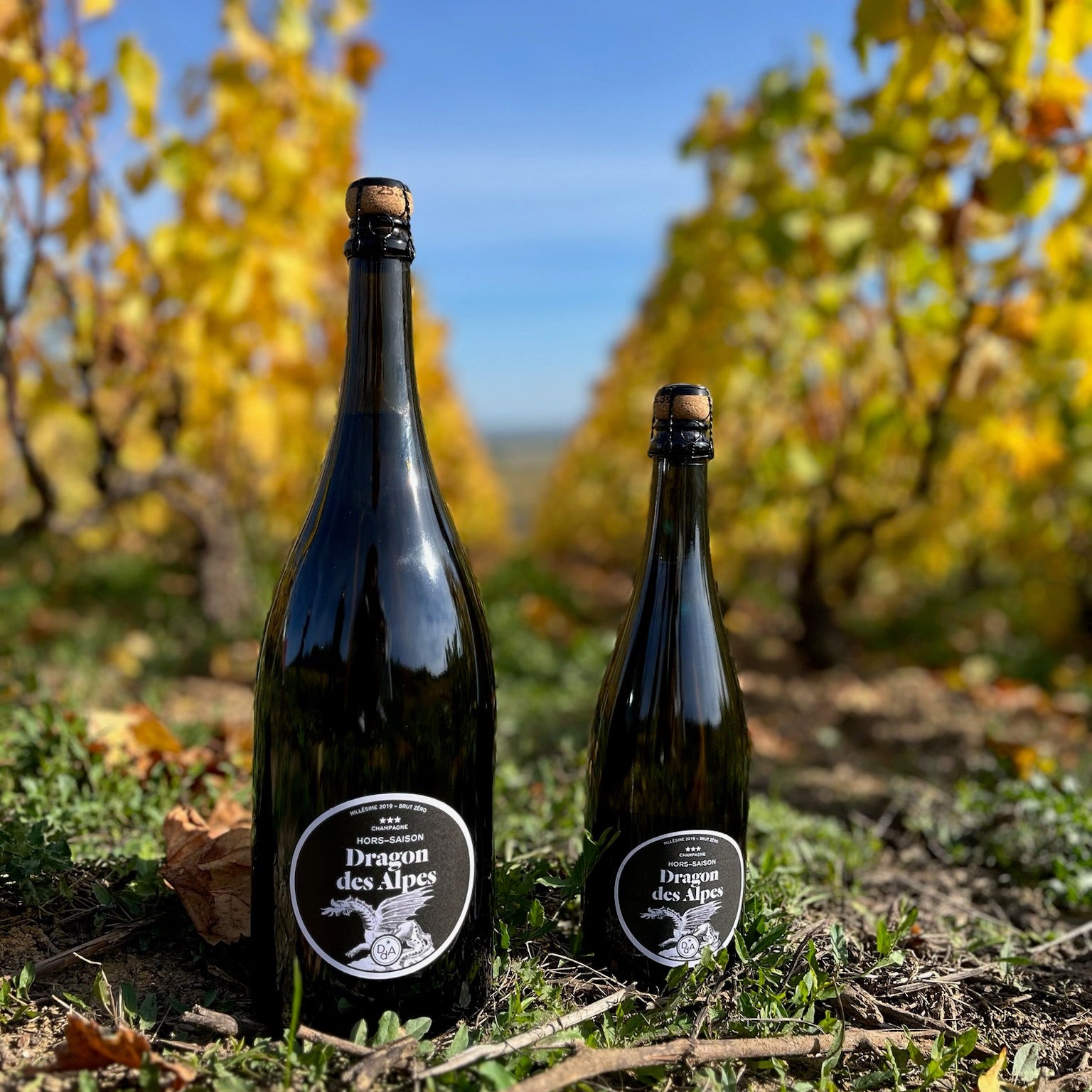 Magnum Millésime 2019 Brut Zéro