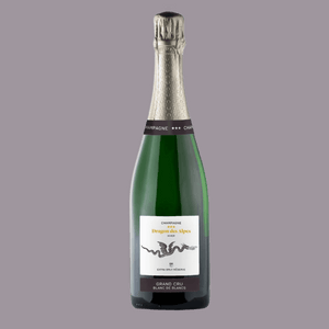Bouteille de champagne Dragon d’Hiver Grand Cru Blanc de Blancs, brut nature, posée sur fond clair