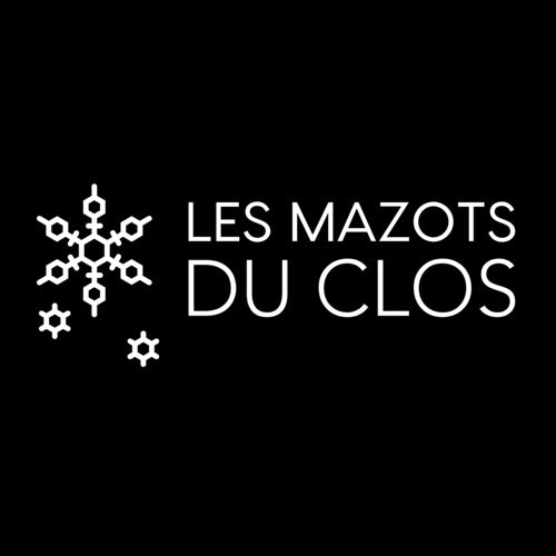 Les Mazots du Clos à Villars-sur-Ollon, hébergement proposant le champagne Dragon des Alpes