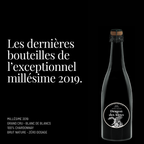 Millésime 2019 Brut Zéro 75cl