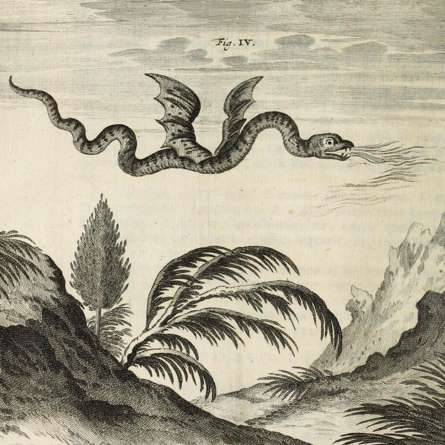 Une bouteille de Dragon des Alpes émerge de la neige, symbole de résilience au cœur du paysage alpin gelé.